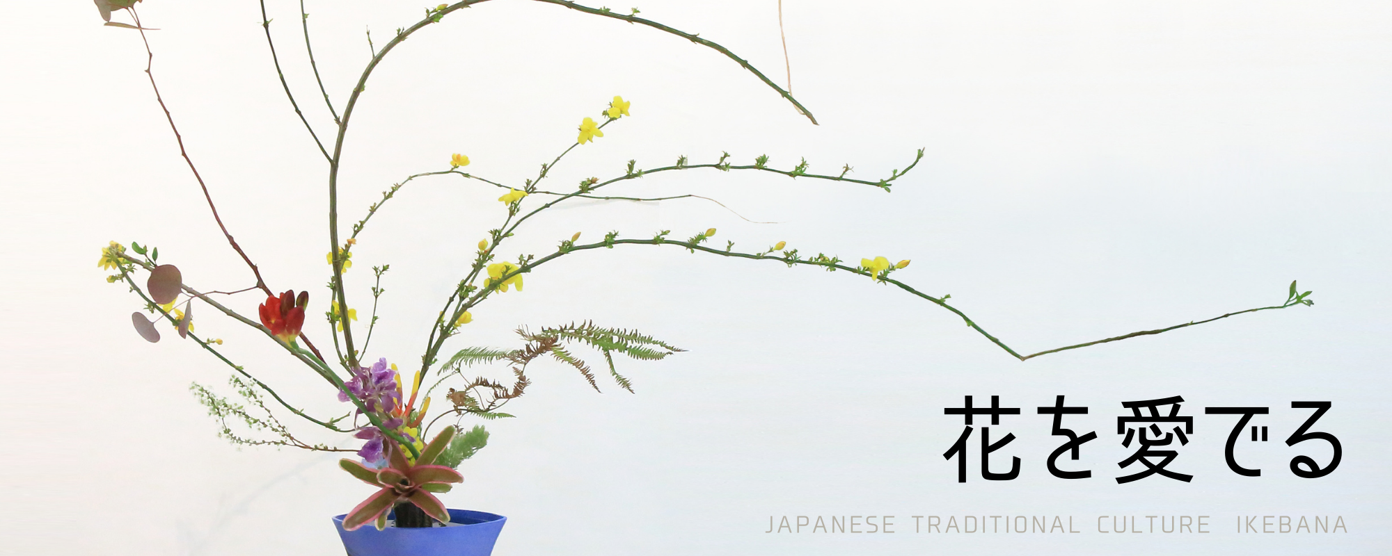 花を愛でる　日本伝統文化