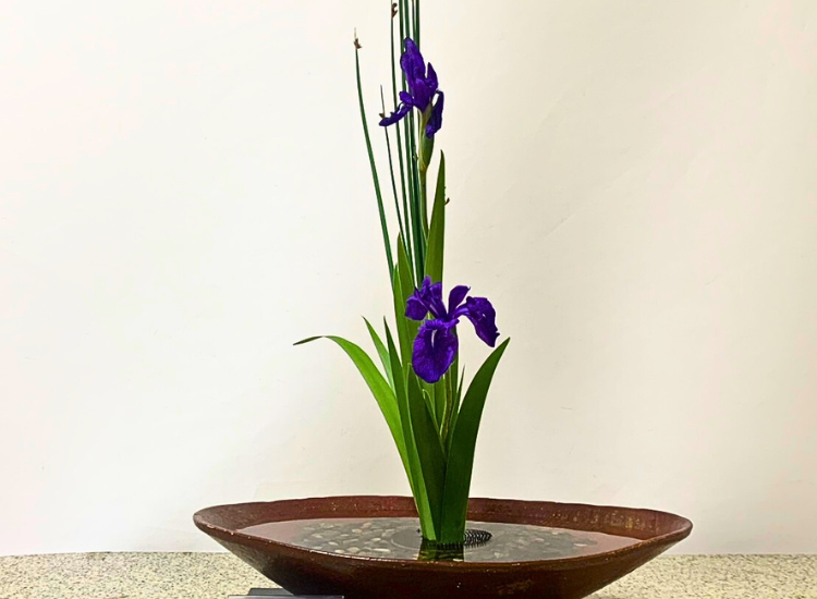 2025年6月お稽古作品