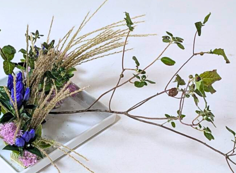 2025年9月お稽古作品